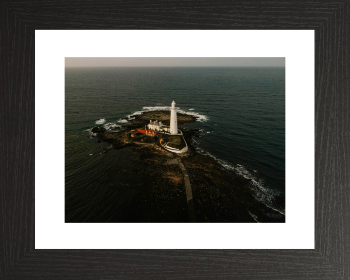 st marys lighthouse Northumberland from above Photo Print - Canvas - Framed Photo Print - Hampshire Prints