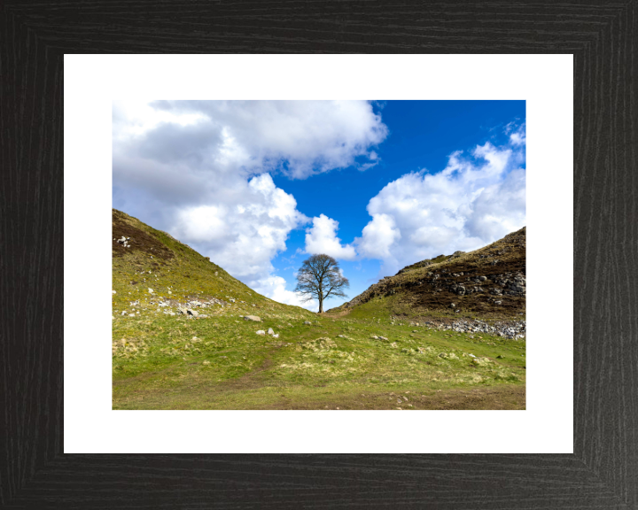 Sycamore Gap Hadrians Wall Northumberland Photo Print - Canvas - Framed Photo Print - Hampshire Prints