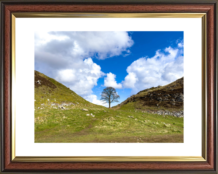 Sycamore Gap Hadrians Wall Northumberland Photo Print - Canvas - Framed Photo Print - Hampshire Prints