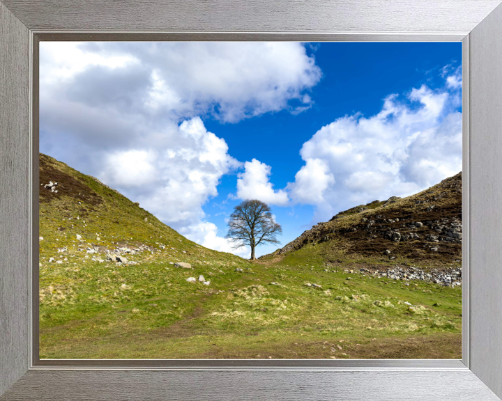 Sycamore Gap Hadrians Wall Northumberland Photo Print - Canvas - Framed Photo Print - Hampshire Prints