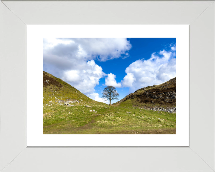 Sycamore Gap Hadrians Wall Northumberland Photo Print - Canvas - Framed Photo Print - Hampshire Prints