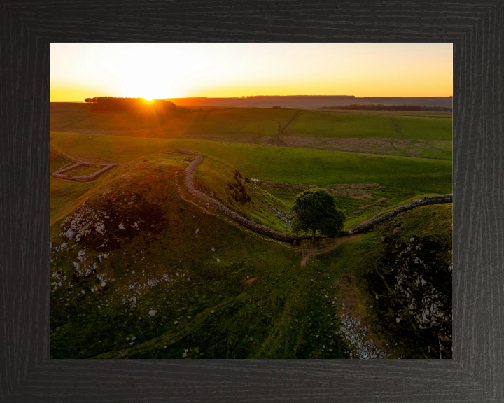 sycamore gap northumberland at sunset Photo Print - Canvas - Framed Photo Print - Hampshire Prints