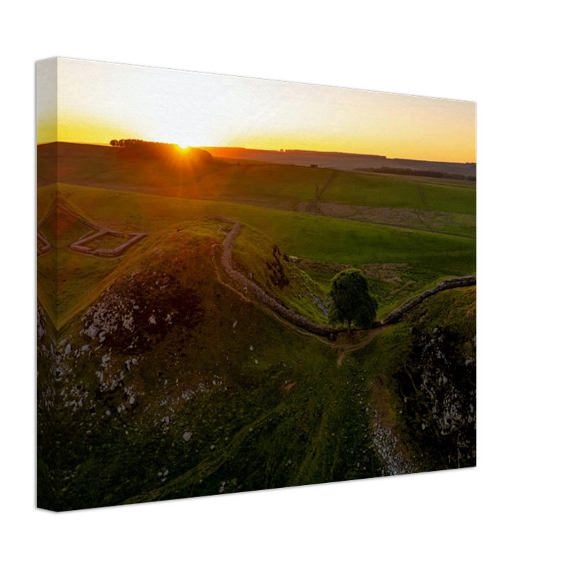 sycamore gap northumberland at sunset Photo Print - Canvas - Framed Photo Print - Hampshire Prints