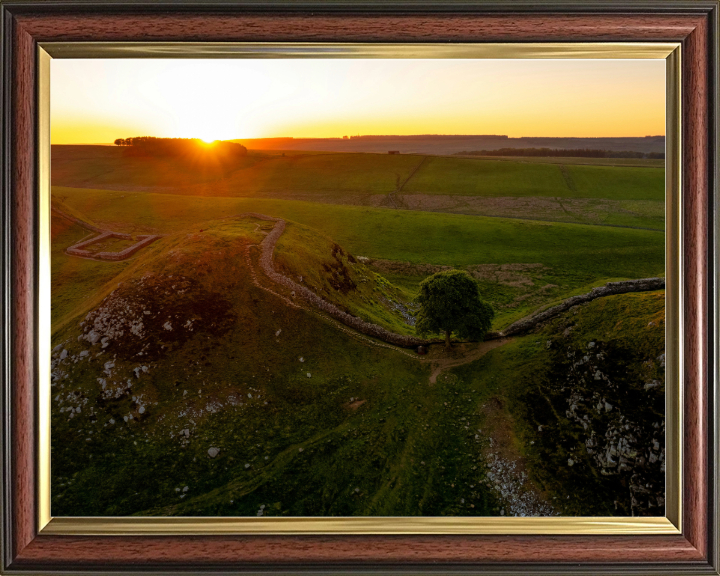 sycamore gap northumberland at sunset Photo Print - Canvas - Framed Photo Print - Hampshire Prints