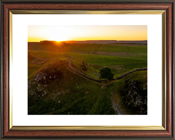 sycamore gap northumberland at sunset Photo Print - Canvas - Framed Photo Print - Hampshire Prints