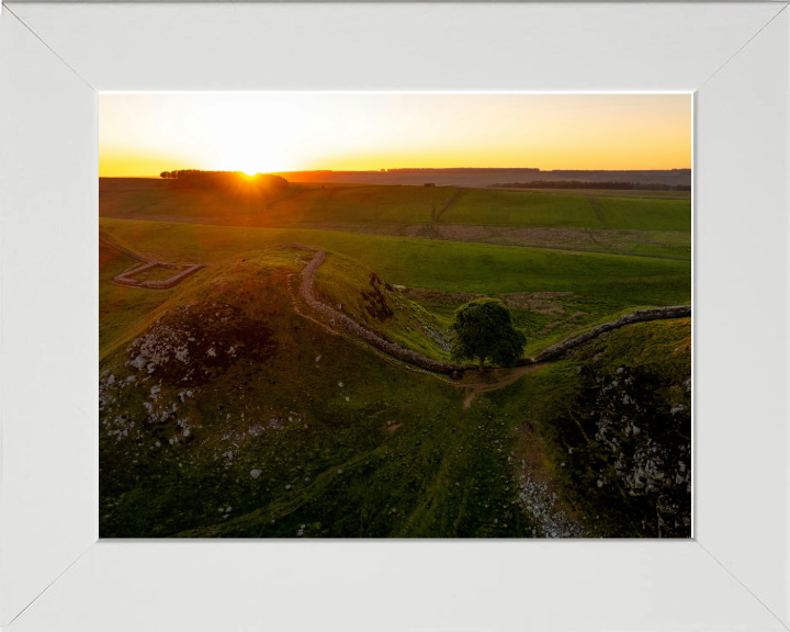 sycamore gap northumberland at sunset Photo Print - Canvas - Framed Photo Print - Hampshire Prints