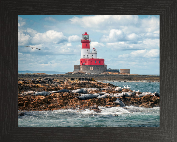 Inner Farne Lighthouse Northumberland Photo Print - Canvas - Framed Photo Print - Hampshire Prints