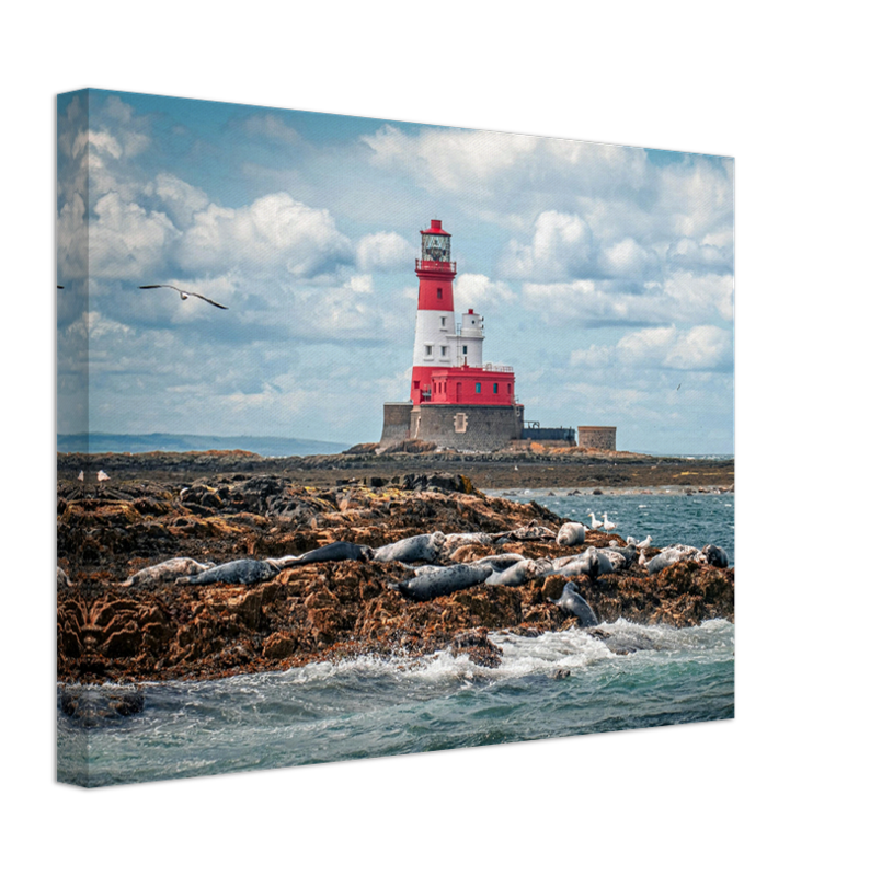 Inner Farne Lighthouse Northumberland Photo Print - Canvas - Framed Photo Print - Hampshire Prints