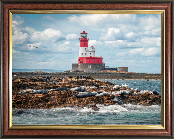 Inner Farne Lighthouse Northumberland Photo Print - Canvas - Framed Photo Print - Hampshire Prints