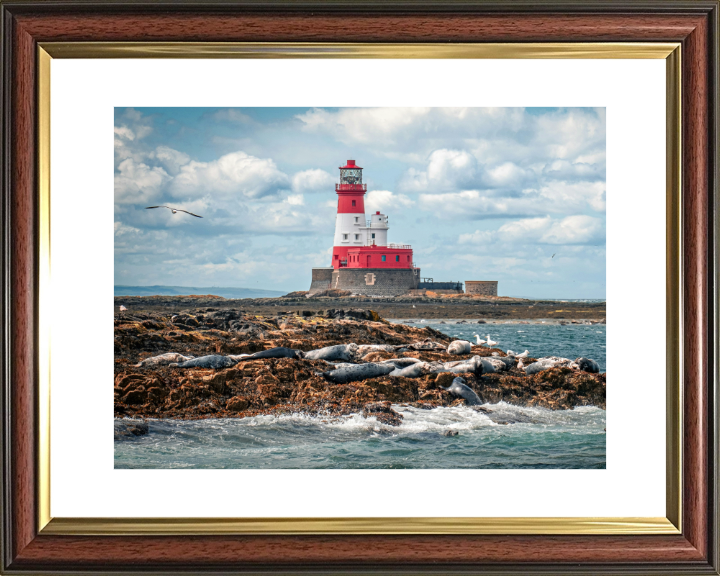 Inner Farne Lighthouse Northumberland Photo Print - Canvas - Framed Photo Print - Hampshire Prints