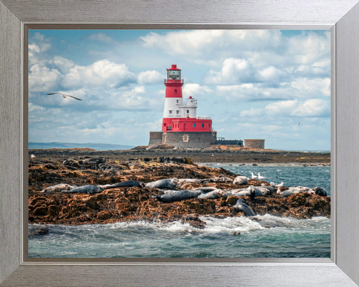 Inner Farne Lighthouse Northumberland Photo Print - Canvas - Framed Photo Print - Hampshire Prints