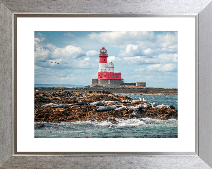 Inner Farne Lighthouse Northumberland Photo Print - Canvas - Framed Photo Print - Hampshire Prints