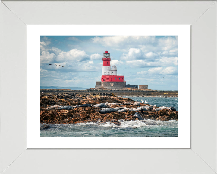 Inner Farne Lighthouse Northumberland Photo Print - Canvas - Framed Photo Print - Hampshire Prints