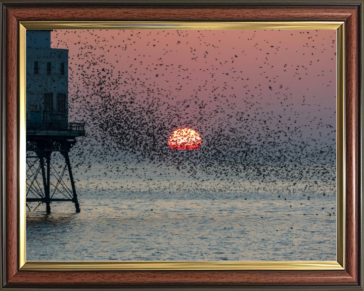 Murmurations at Fleetwood Pier Lancashire Photo Print - Canvas - Framed Photo Print - Hampshire Prints