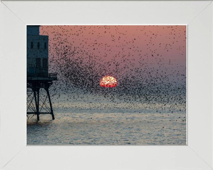 Murmurations at Fleetwood Pier Lancashire Photo Print - Canvas - Framed Photo Print - Hampshire Prints