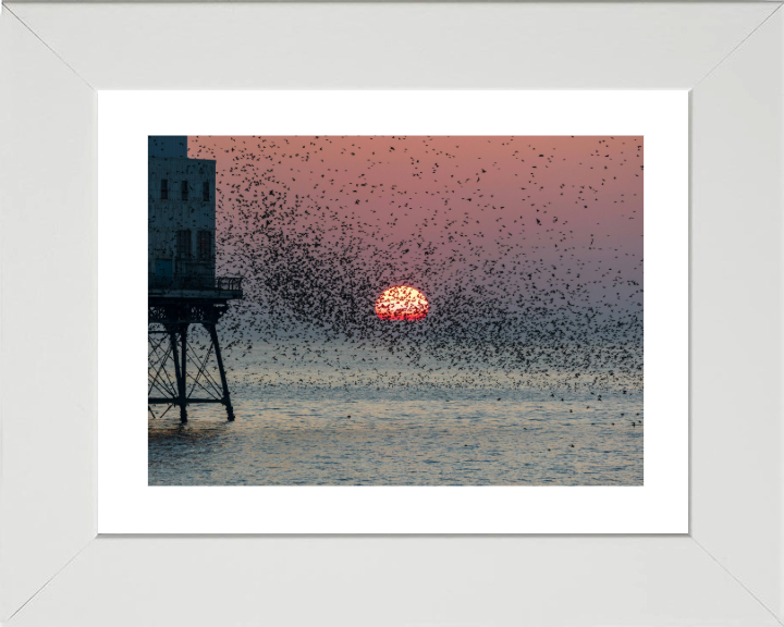 Murmurations at Fleetwood Pier Lancashire Photo Print - Canvas - Framed Photo Print - Hampshire Prints