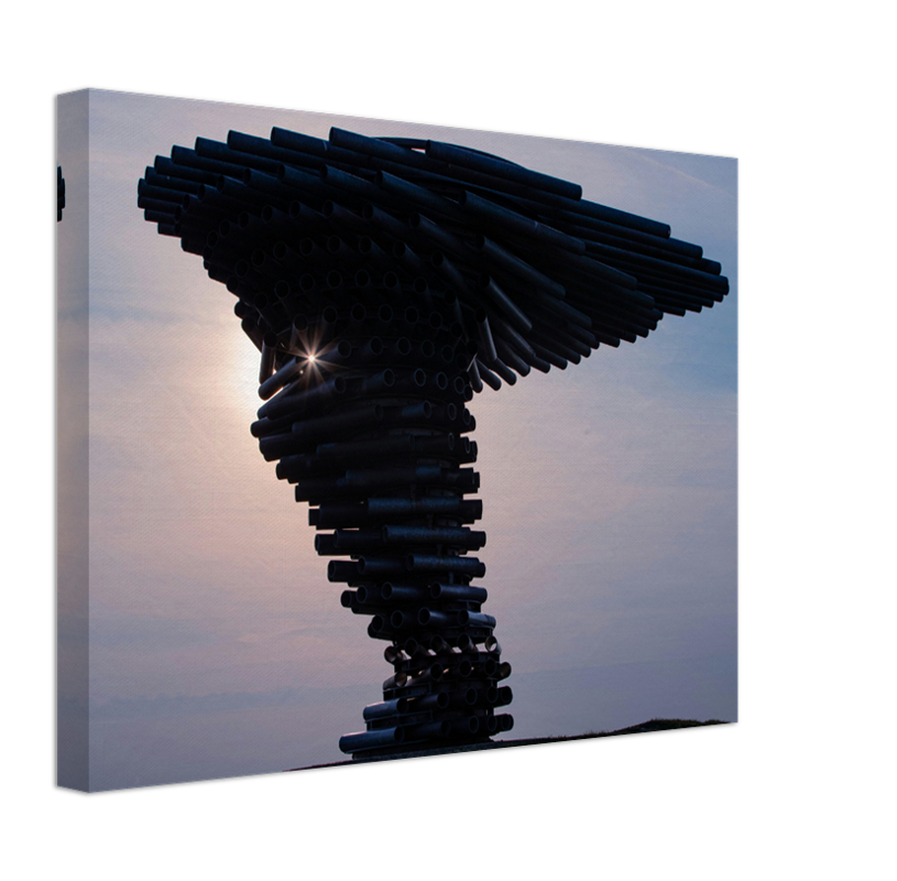 Singing Ringing Tree Lancashire Photo Print - Canvas - Framed Photo Print - Hampshire Prints