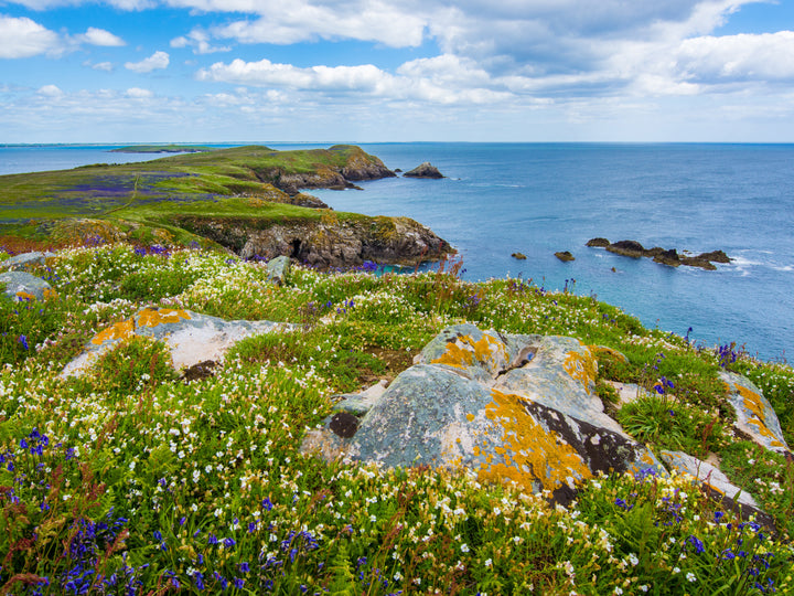 Saltee Island ireland Photo Print - Canvas - Framed Photo Print - Hampshire Prints