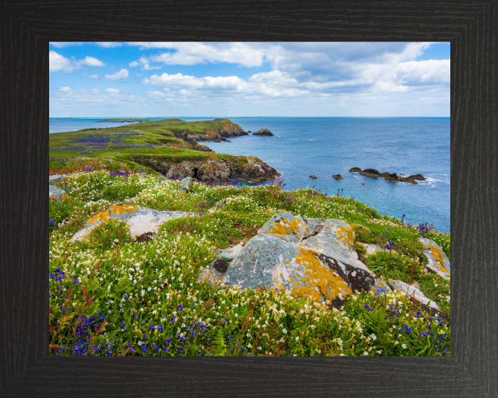 Saltee Island ireland Photo Print - Canvas - Framed Photo Print - Hampshire Prints