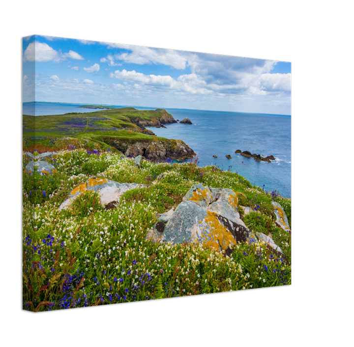 Saltee Island ireland Photo Print - Canvas - Framed Photo Print - Hampshire Prints