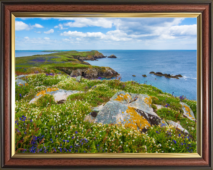 Saltee Island ireland Photo Print - Canvas - Framed Photo Print - Hampshire Prints