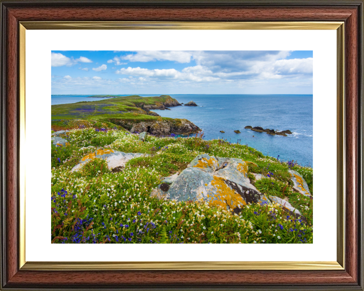 Saltee Island ireland Photo Print - Canvas - Framed Photo Print - Hampshire Prints