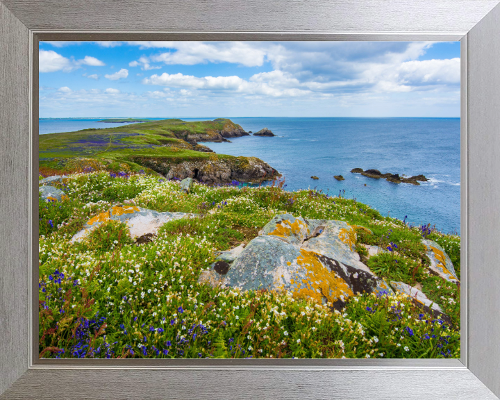 Saltee Island ireland Photo Print - Canvas - Framed Photo Print - Hampshire Prints