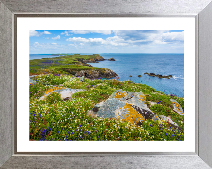 Saltee Island ireland Photo Print - Canvas - Framed Photo Print - Hampshire Prints