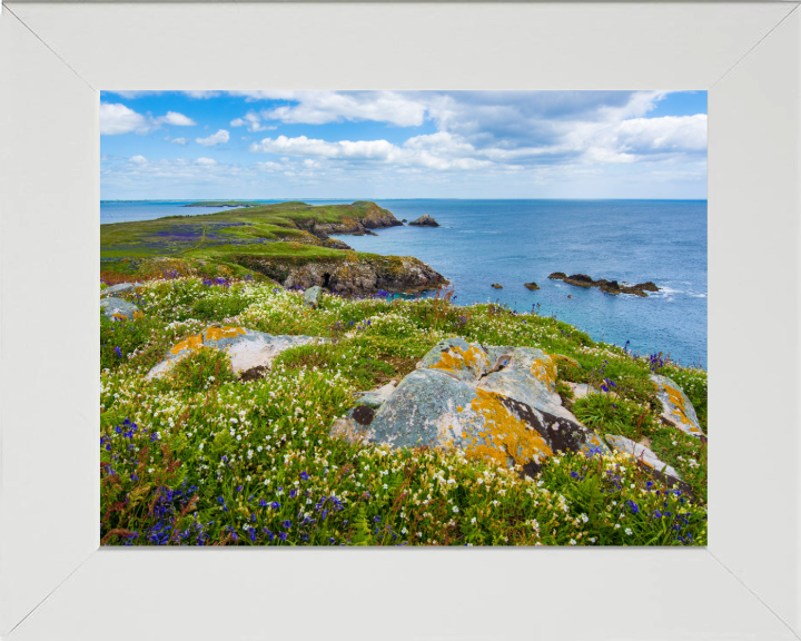 Saltee Island ireland Photo Print - Canvas - Framed Photo Print - Hampshire Prints