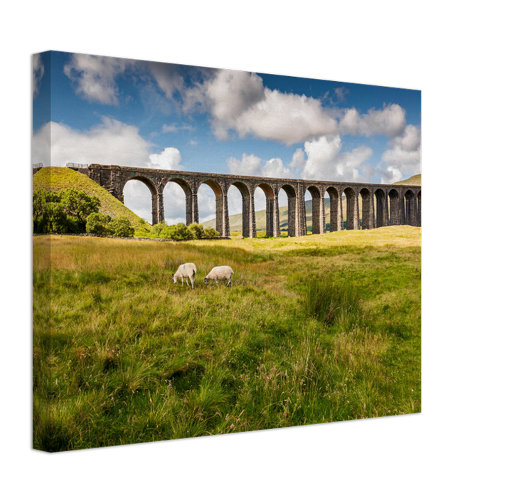 The Ribblehead Viaduct North Yorkshire in summer Photo Print - Canvas - Framed Photo Print - Hampshire Prints