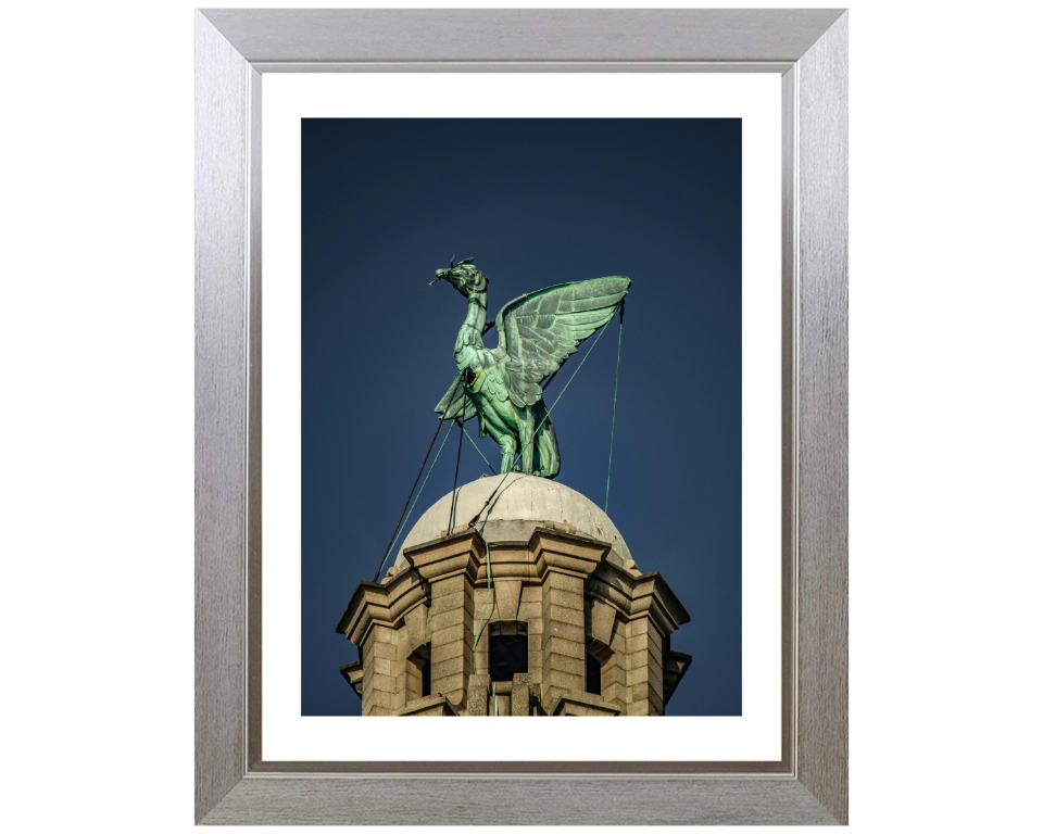 Liver bird on the Liver Building Liverpool Photo Print - Canvas - Framed Photo Print - Hampshire Prints