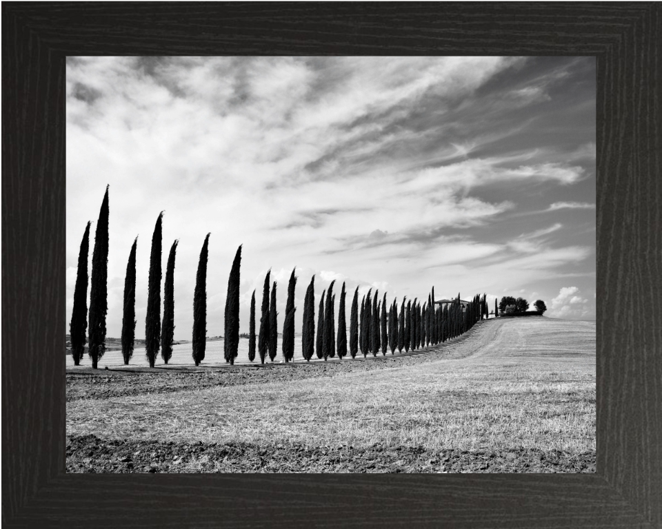 Tuscany Italy black and white Photo Print - Canvas - Framed Photo Print - Hampshire Prints