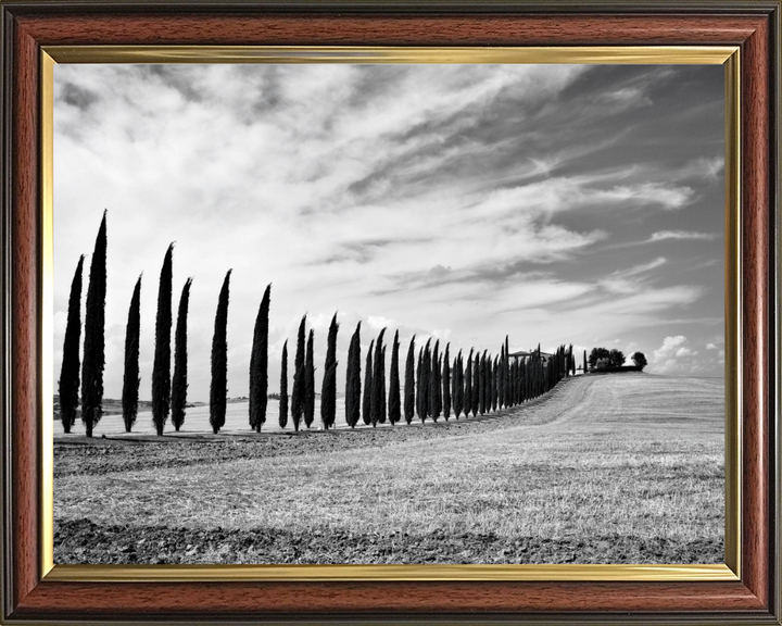 Tuscany Italy black and white Photo Print - Canvas - Framed Photo Print - Hampshire Prints