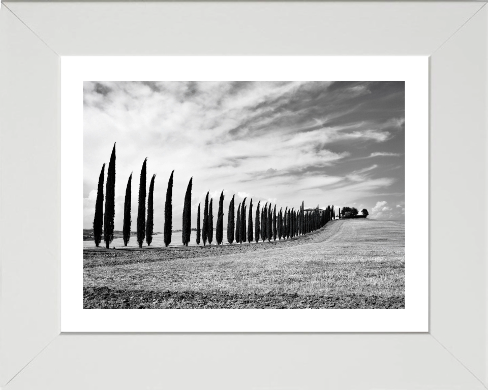 Tuscany Italy black and white Photo Print - Canvas - Framed Photo Print - Hampshire Prints