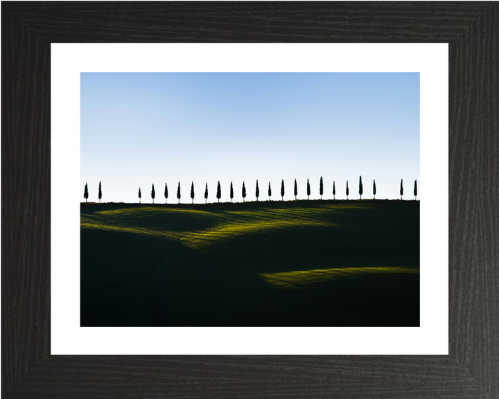 row of trees Tuscany Italy Photo Print - Canvas - Framed Photo Print - Hampshire Prints