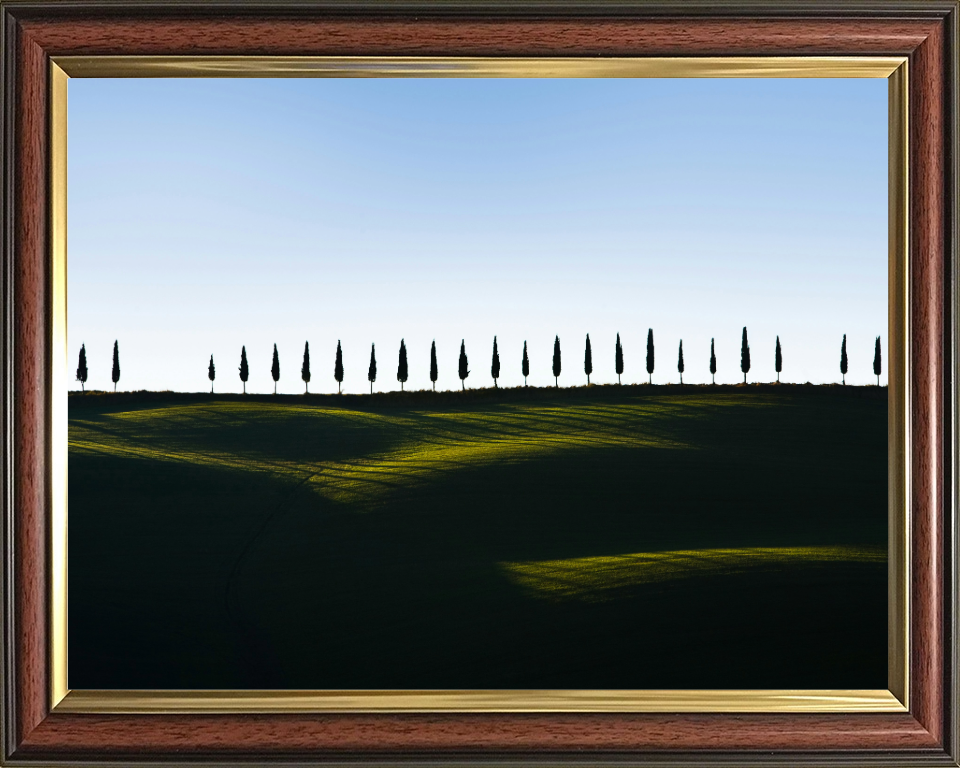 row of trees Tuscany Italy Photo Print - Canvas - Framed Photo Print - Hampshire Prints