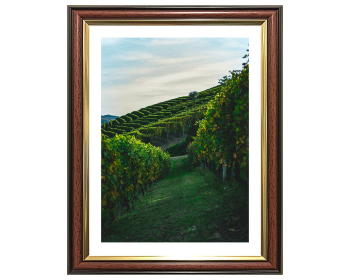 Vineyards at Serralunga Italy Photo Print - Canvas - Framed Photo Print - Hampshire Prints