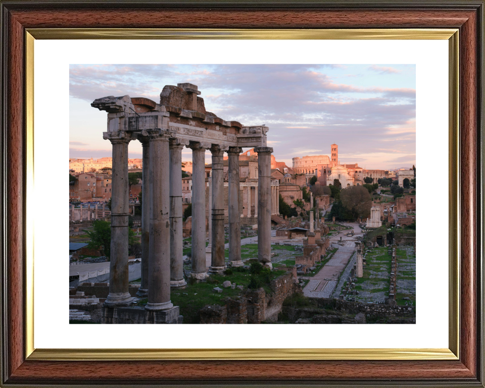 roman ruins Rome Italy Photo Print - Canvas - Framed Photo Print - Hampshire Prints