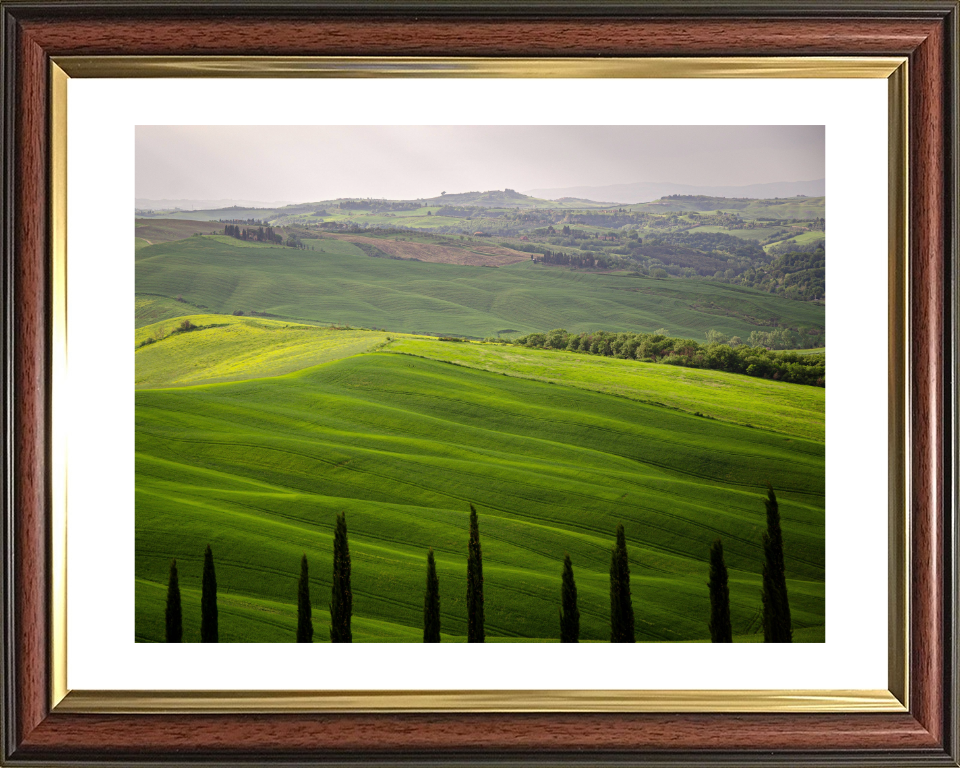 Tuscany Italy in summer Photo Print - Canvas - Framed Photo Print - Hampshire Prints