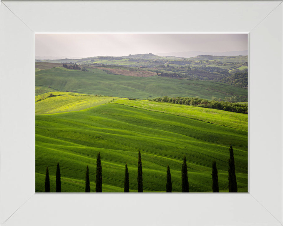 Tuscany Italy in summer Photo Print - Canvas - Framed Photo Print - Hampshire Prints