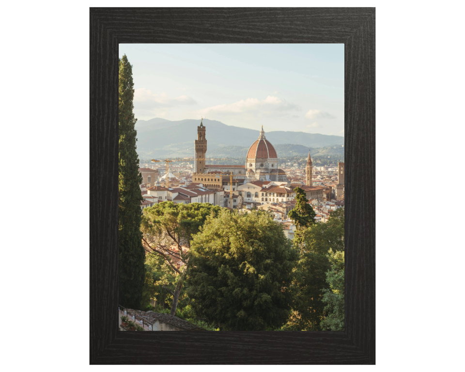 Giardino Bardini Firenze Italy Photo Print - Canvas - Framed Photo Print - Hampshire Prints