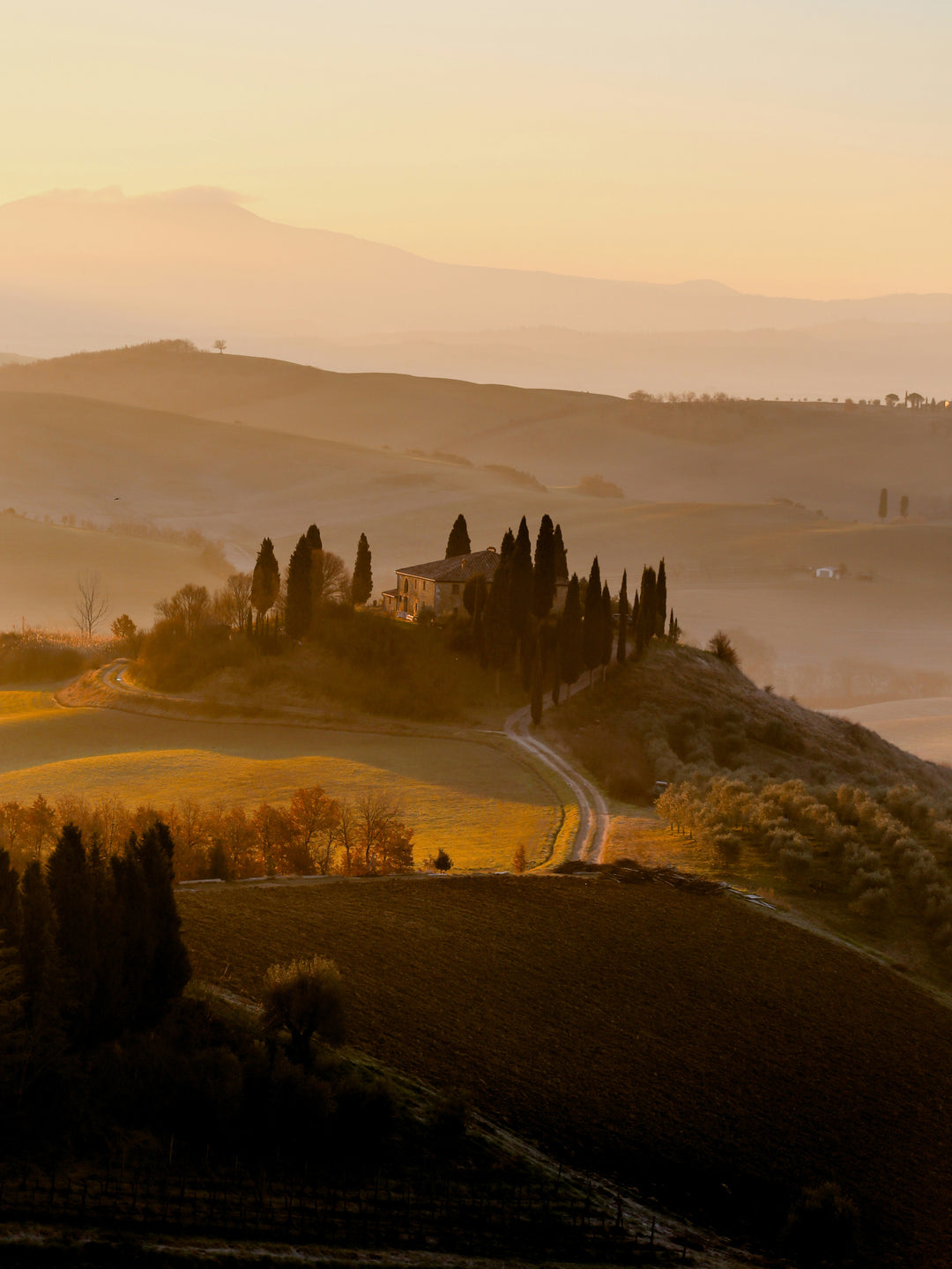 San Quirico d'Orcia Italy at sunset Photo Print - Canvas - Framed Photo Print - Hampshire Prints