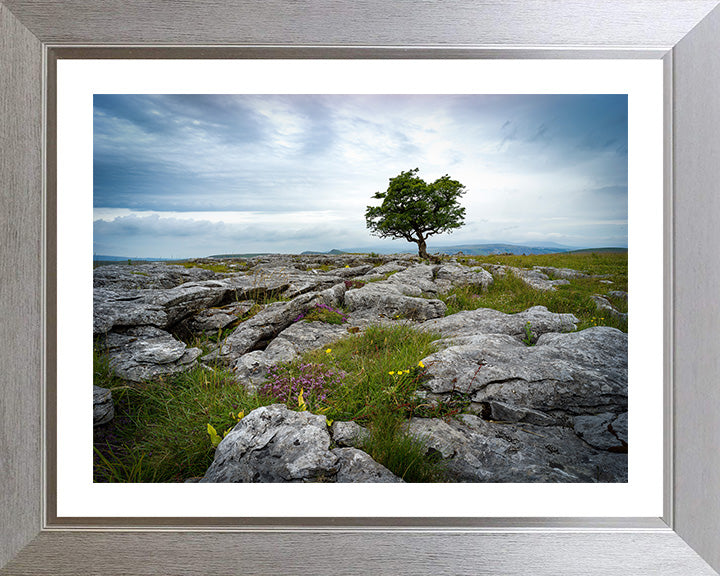 A lone tree in The Yorkshire Dales Photo Print - Canvas - Framed Photo Print - Hampshire Prints