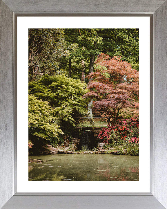 Exbury Gardens waterfall The New Forest Hampshire in Autumn Photo Print - Canvas - Framed Photo Print - Hampshire Prints