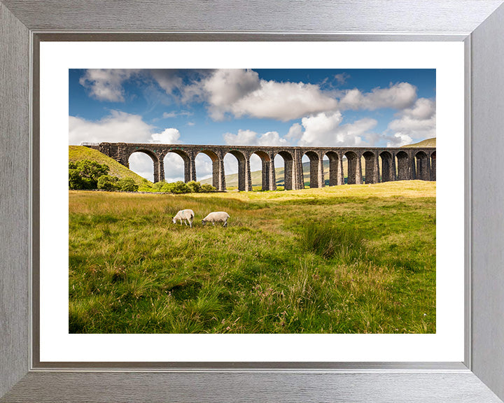 The Ribblehead Viaduct North Yorkshire in summer Photo Print - Canvas - Framed Photo Print - Hampshire Prints