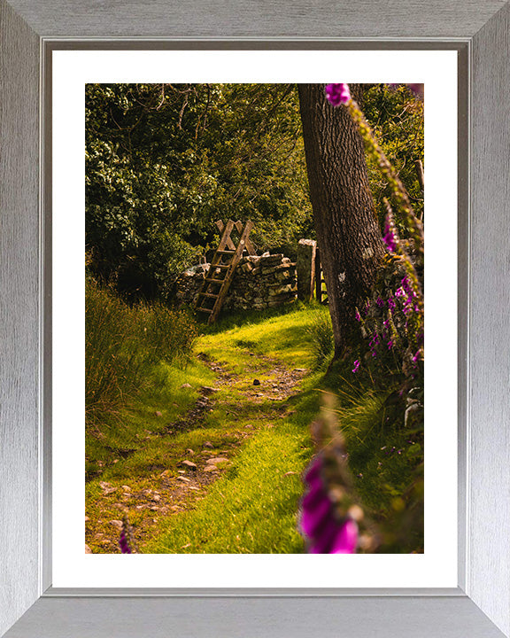 The Yorkshire Dales countryside in spring Photo Print - Canvas - Framed Photo Print - Hampshire Prints