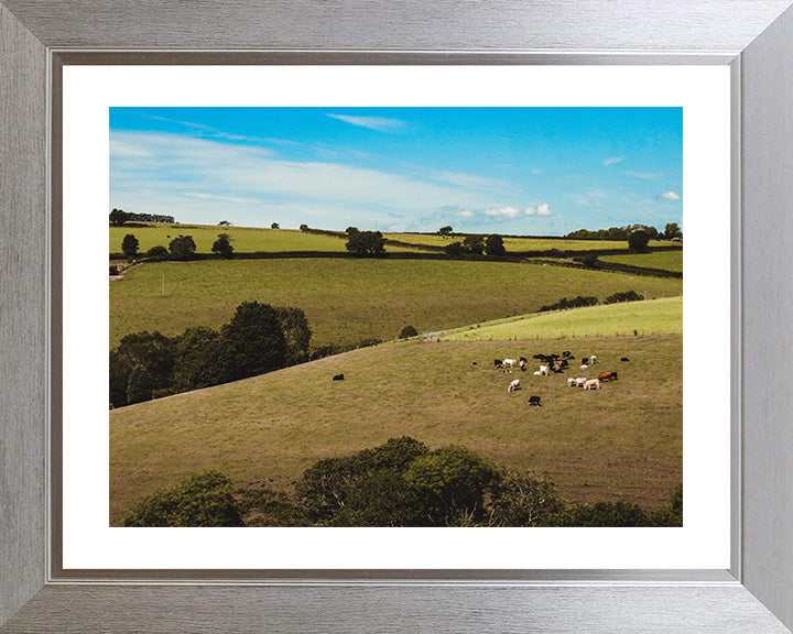 The Cornish countryside in summer Cornwall Photo Print - Canvas - Framed Photo Print - Hampshire Prints