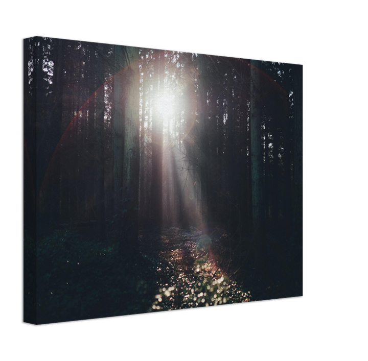 Light through the trees Lyndhurst The New Forest Hampshire Photo Print - Canvas - Framed Photo Print - Hampshire Prints