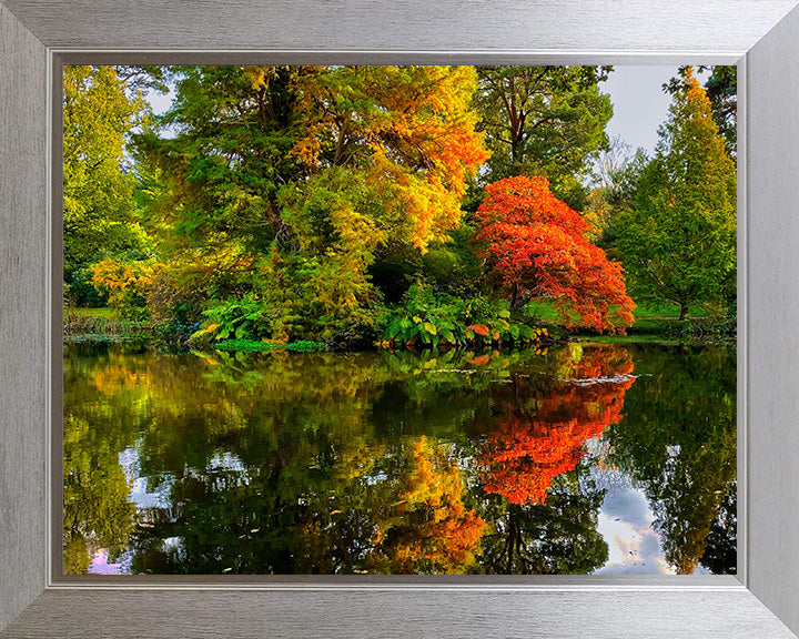 Exbury Gardens The New Forest Hampshire in Autumn Photo Print - Canvas - Framed Photo Print - Hampshire Prints