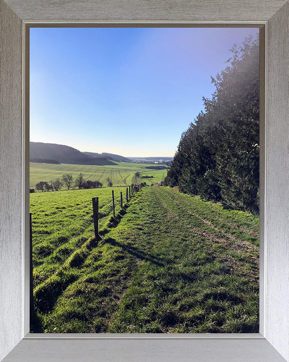 Kingley Vale National Nature Reserve West Sussex Photo Print - Canvas - Framed Photo Print - Hampshire Prints